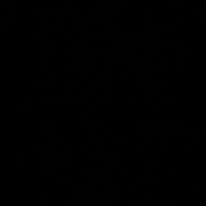 Meet your Posher, Ari